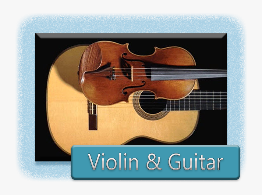 Special Requests For Your Music Begins With Us Looking - Viola, HD Png Download