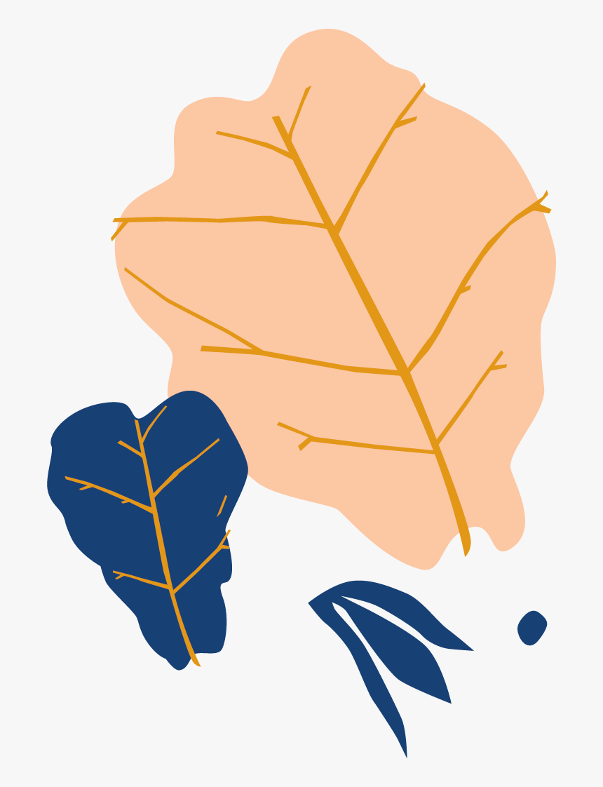 Fig Leaf Fig Illustration, HD Png Download