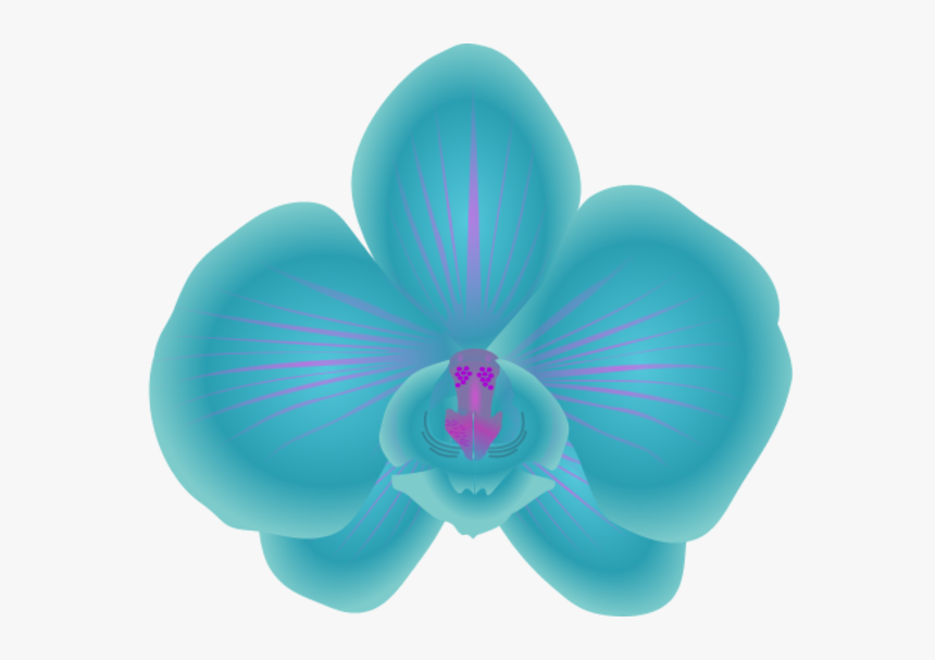 Transparent Orchids Png - Blue Orchid Clip Art, Png Download