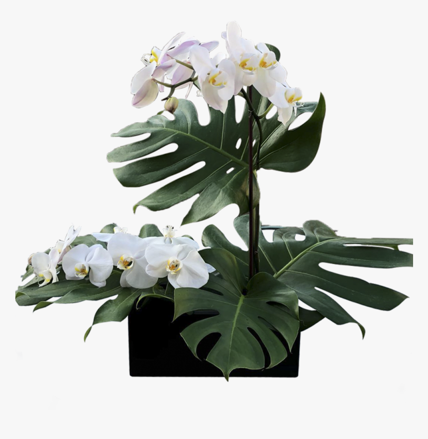 1 - 5, HD Png Download