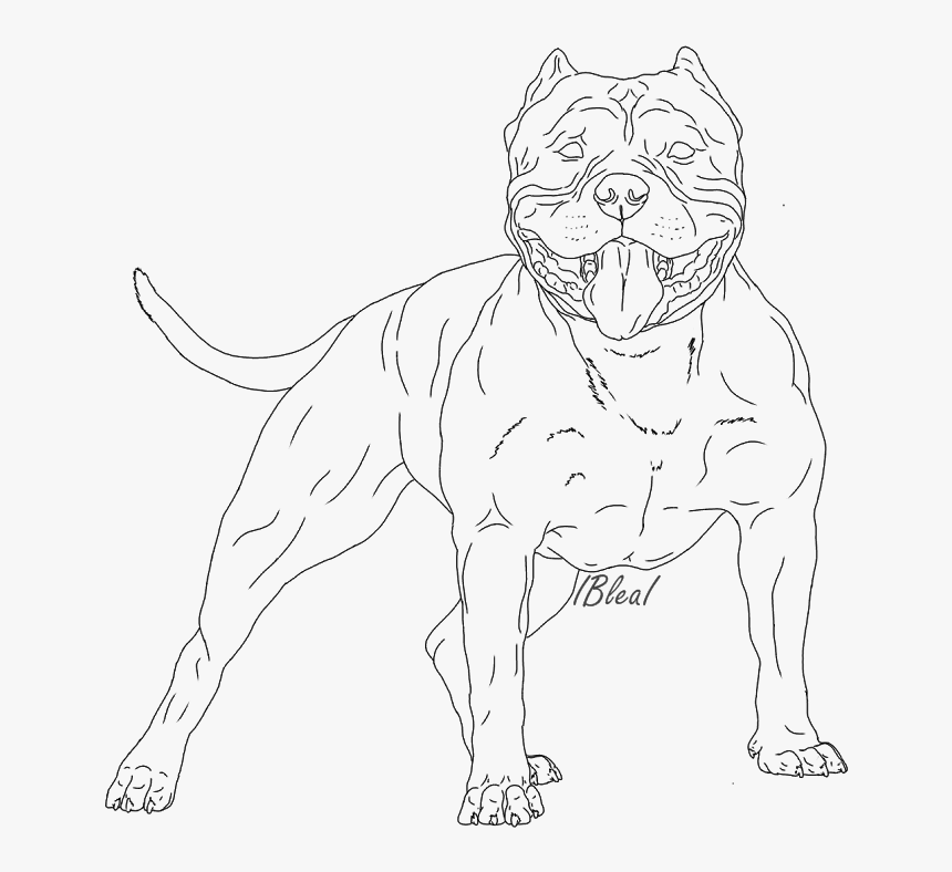 Collection Of High - Line Art, HD Png Download
