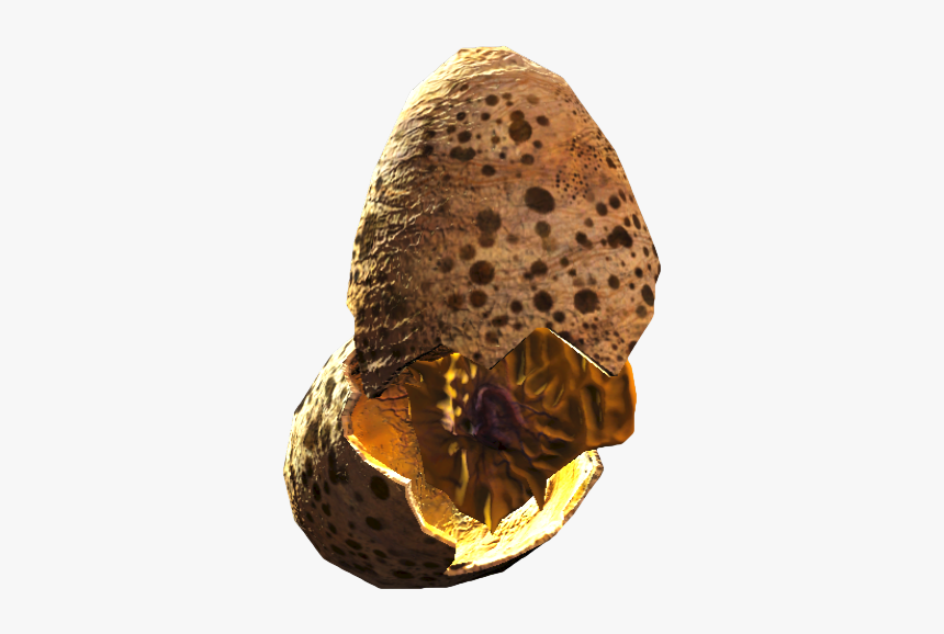 Nukapedia The Vault - Invertebrate, HD Png Download