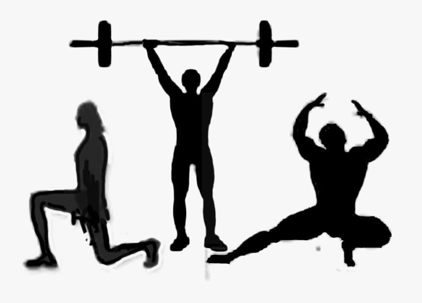 Silhouette Bodybuilding Training Physical Fitness - Fitness Silhouette, HD Png Download