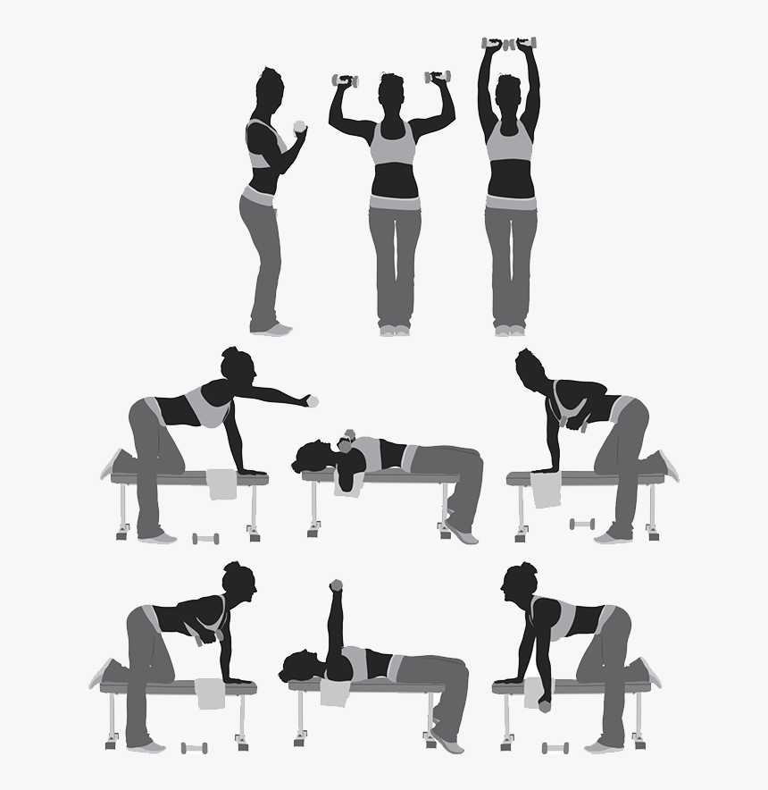 Silhouette Wellness Sa Weight Training Illustration - Illustration, HD Png Download