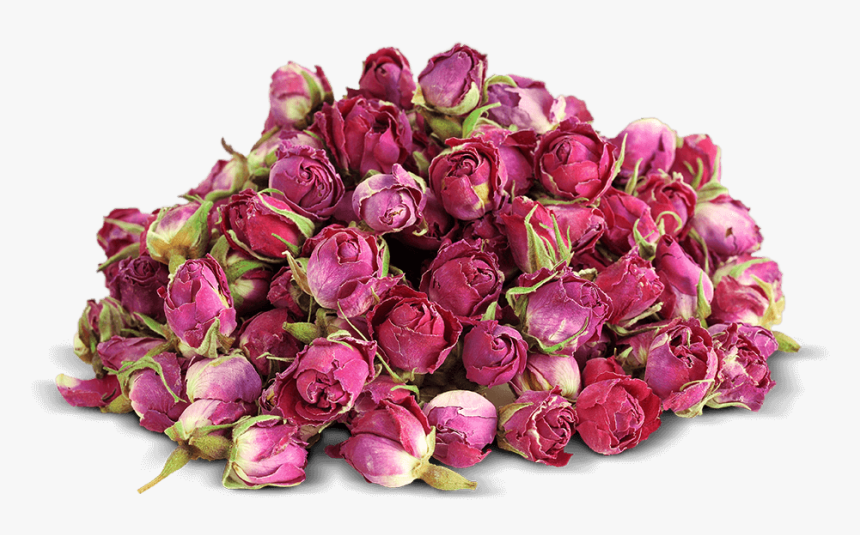Bouton De Rose Séchée, HD Png Download