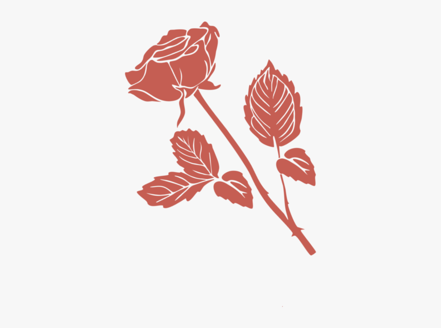 Front, HD Png Download