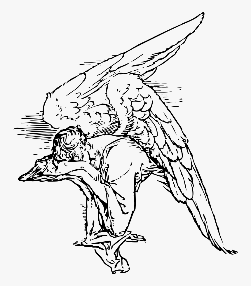 Transparent Angel Wings Clipart - Resting Wings, HD Png Download