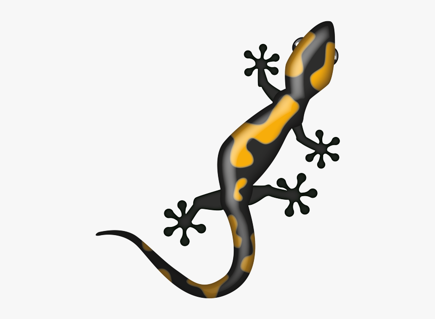 Gekkonidae, HD Png Download
