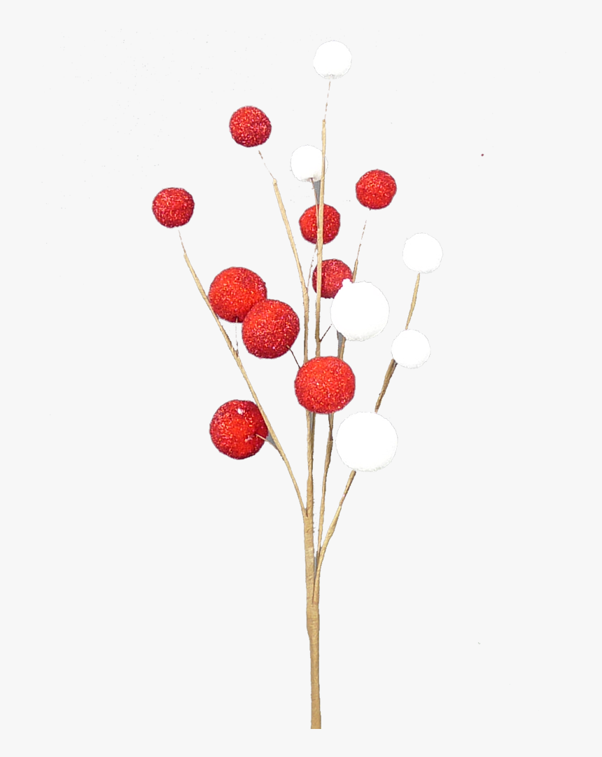 16 - Twig, HD Png Download