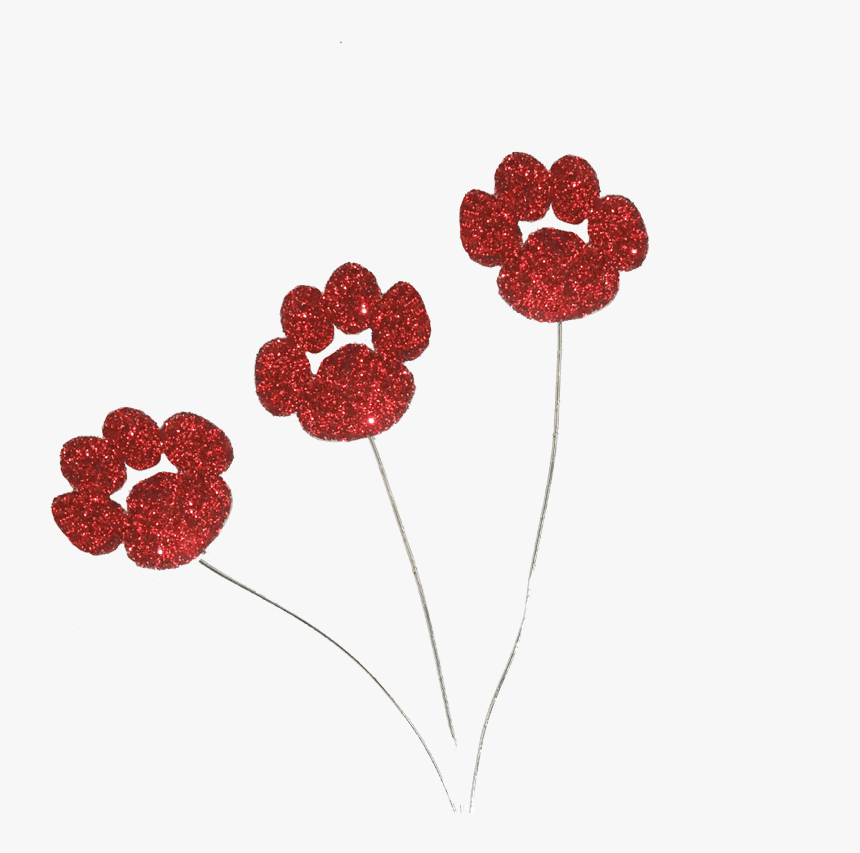 Caesalpinia, HD Png Download