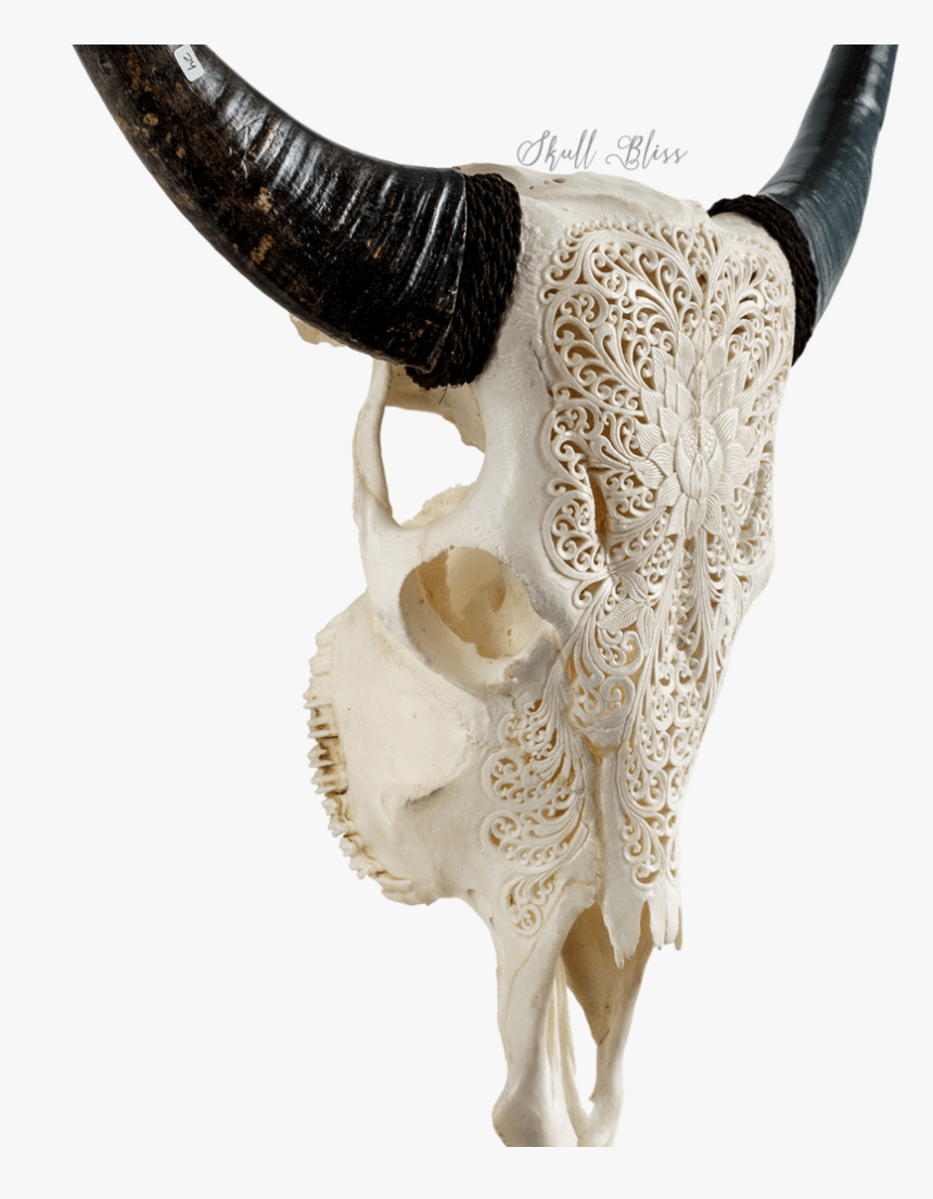 Horn, HD Png Download