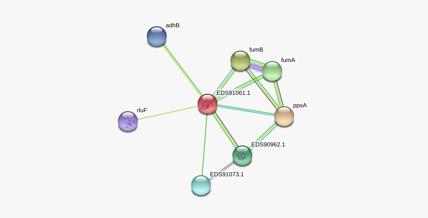 1 Protein - Circle, HD Png Download