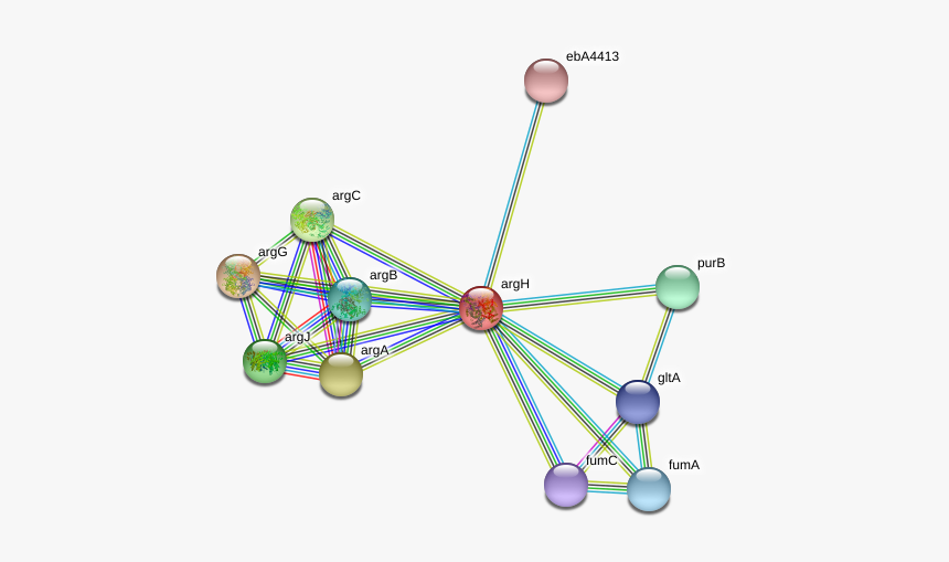Argh Protein - Illustration, HD Png Download