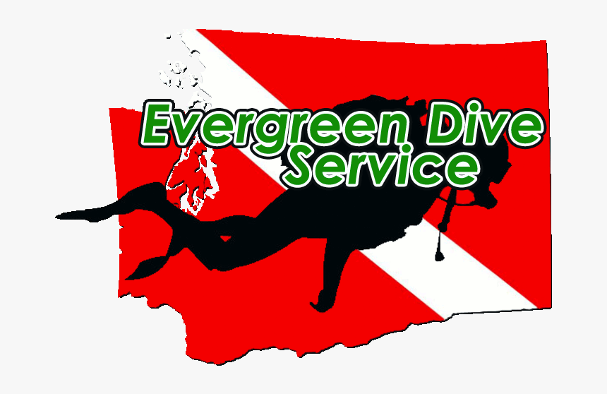 Logo - Logo Dive Png, Transparent Png