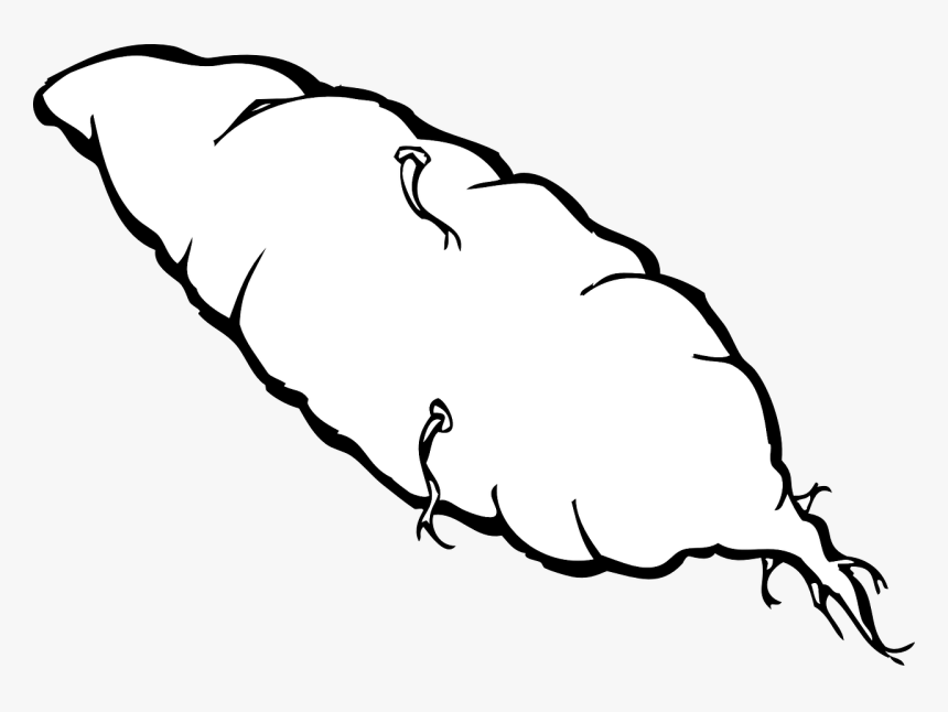 Potato, Yam, Sweet, Shoot, Sprout, Food, Nutrition - Sweet Potato Clip Art, HD Png Download