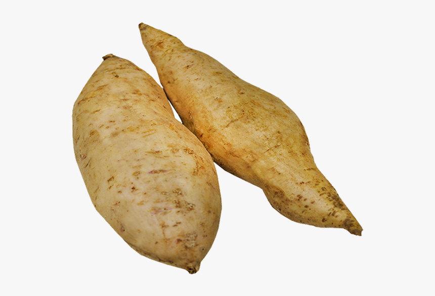 Tuber, HD Png Download