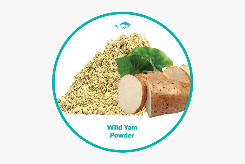 Animal, HD Png Download