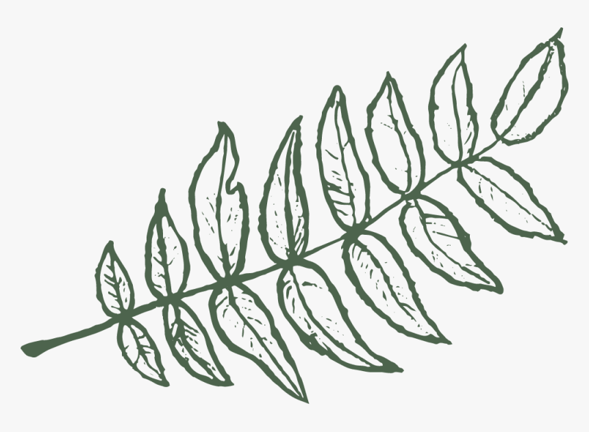 Lhl - Leaf - Instaright - Drawing, HD Png Download