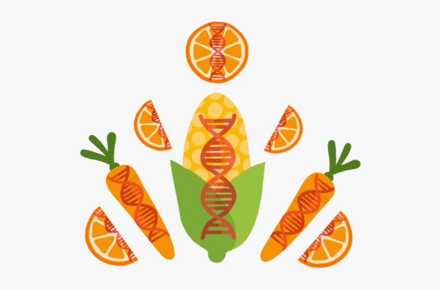 Clip Art, HD Png Download