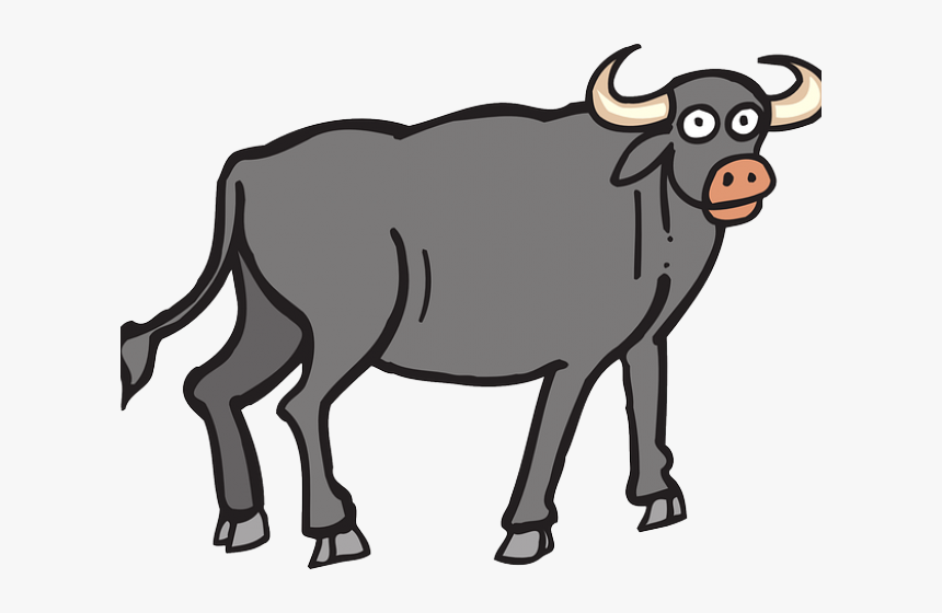 Download Ox Buffalo Png Buffalo Clipart Transparent Png Transparent Png Image Pngitem