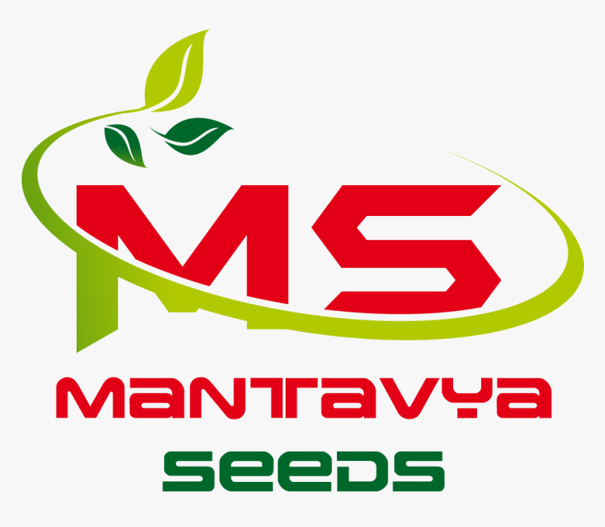Mantavya Seeds - Castelli, HD Png Download