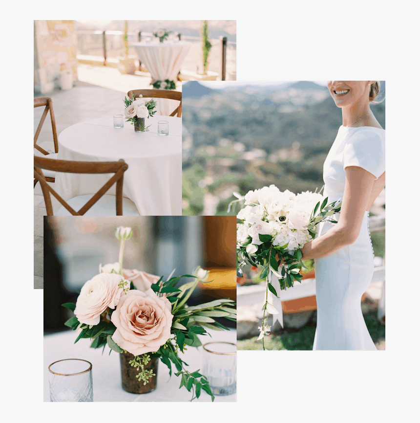 Garden Roses, HD Png Download