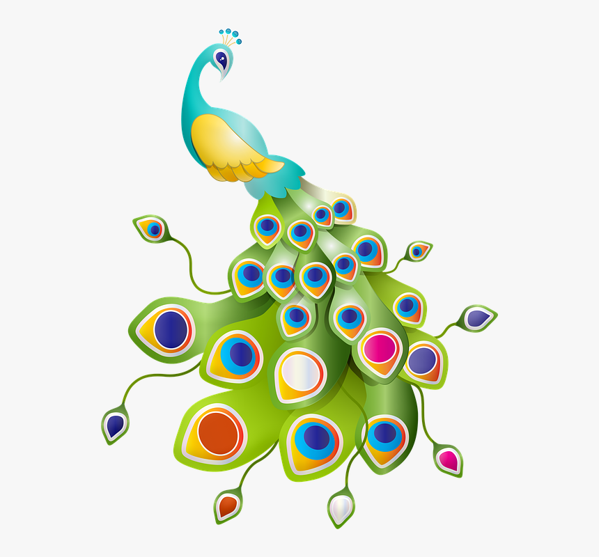 Peacock, Colorful, Feathers, Bird, Plumage, Nature, HD Png Download