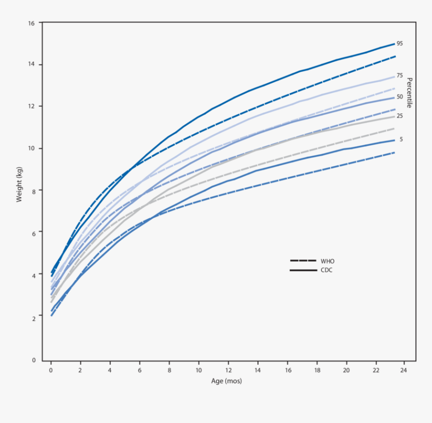 Diagram, HD Png Download