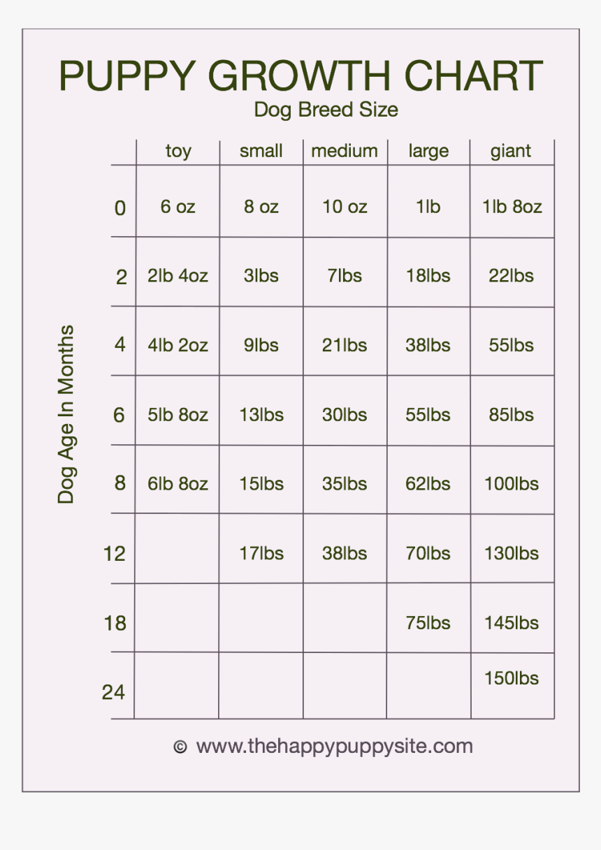 Number, HD Png Download