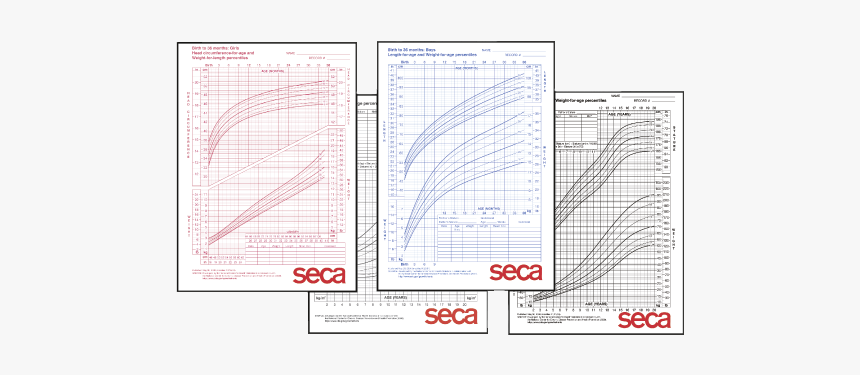 Seca Growth Chart For Boys 2-20 Years - Paper, HD Png Download