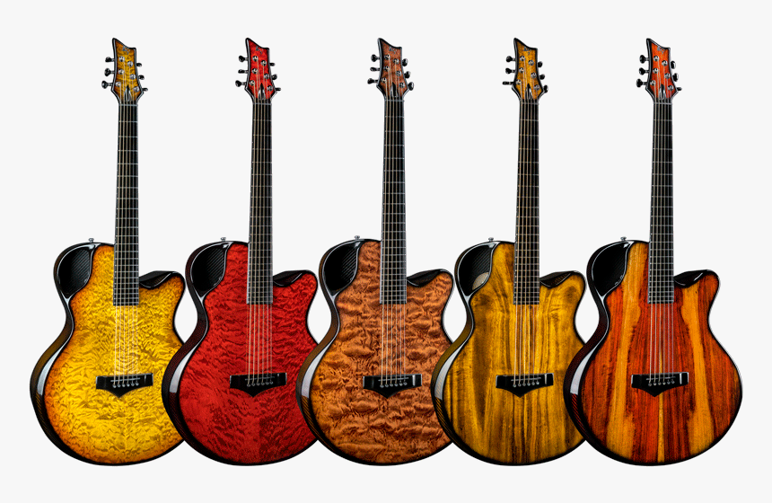 Bass Guitar, HD Png Download