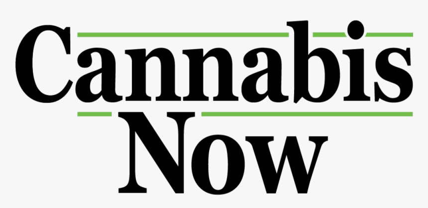 Cannabis Now, HD Png Download