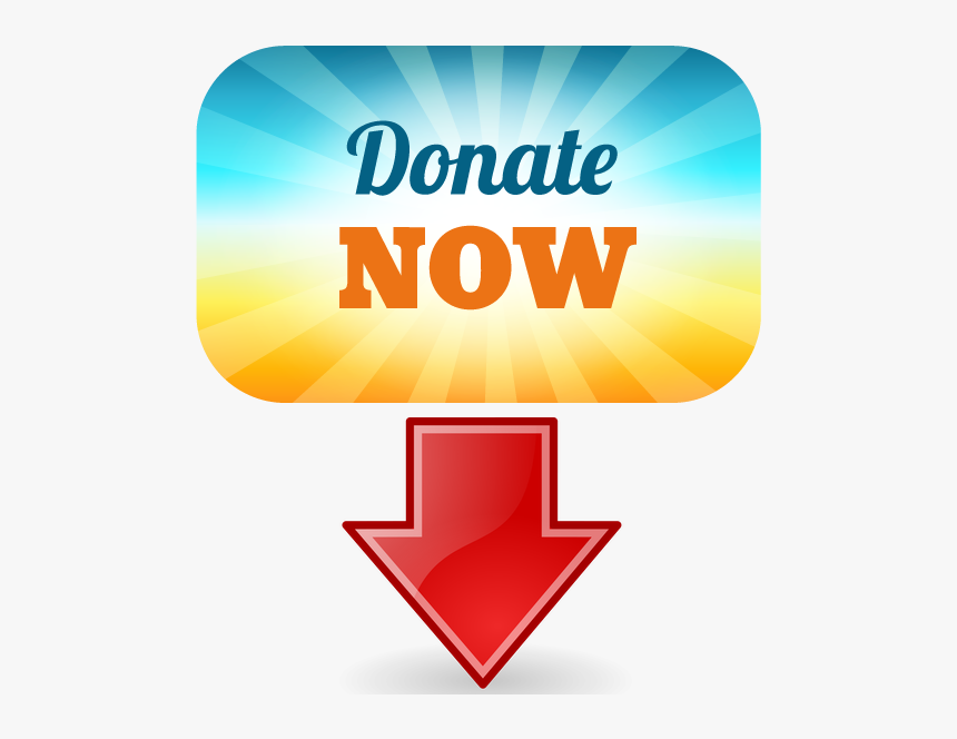 Donate Now - Lobster Font, HD Png Download