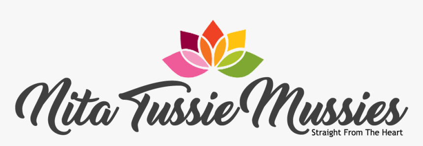 Graphic Design, HD Png Download