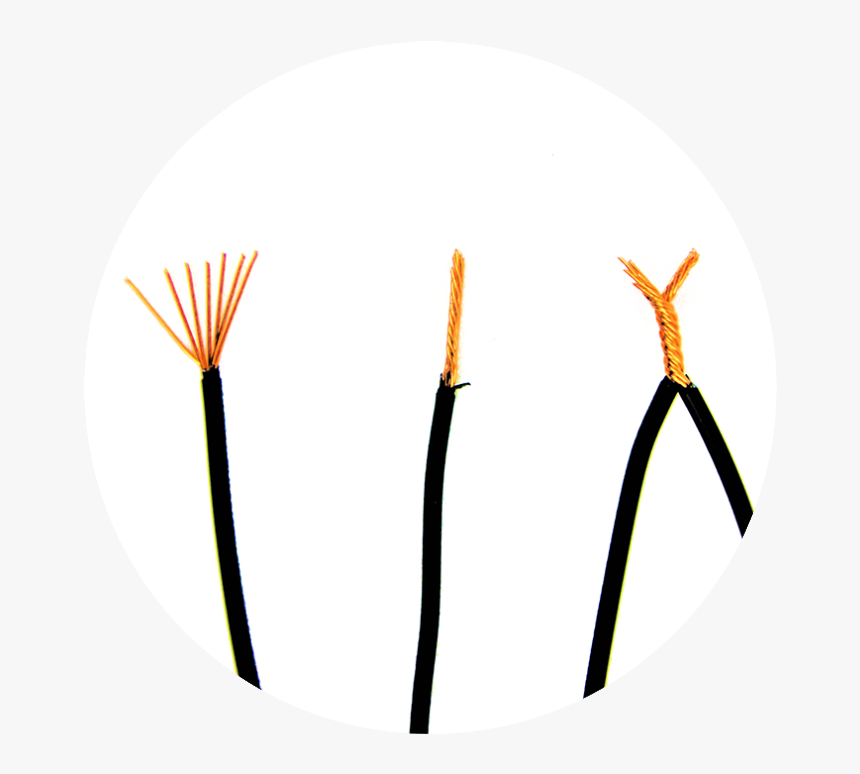 Butterfly Twist The 2 Dog Fence Wires - Circle, HD Png Download