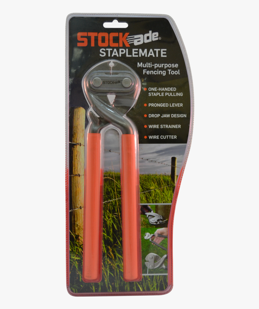 Data Mfp Src //cdn - America Vs Pumas 2011, HD Png Download