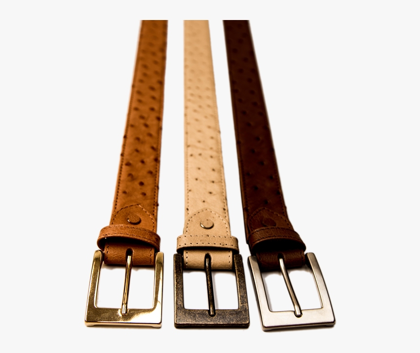 Buckle, HD Png Download