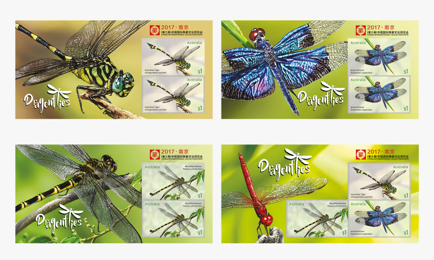 Dragonfly, HD Png Download