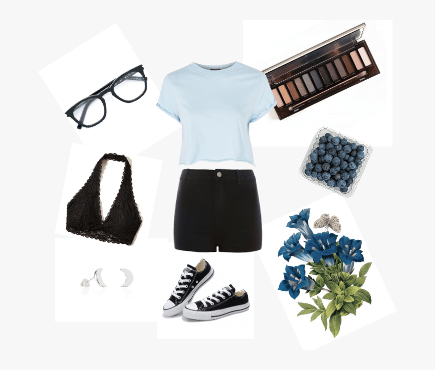 Today S Aesthetic - Delphinium, HD Png Download