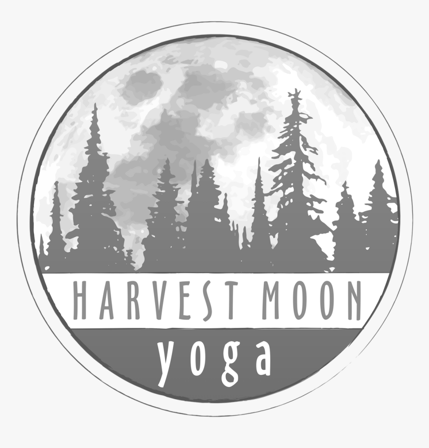 Full Moon, HD Png Download