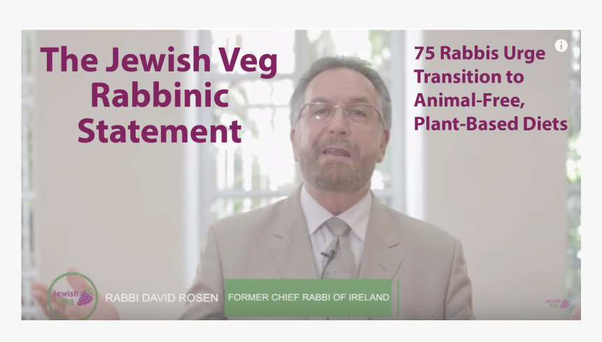 Photo Caption - Rabbit Kidney, HD Png Download