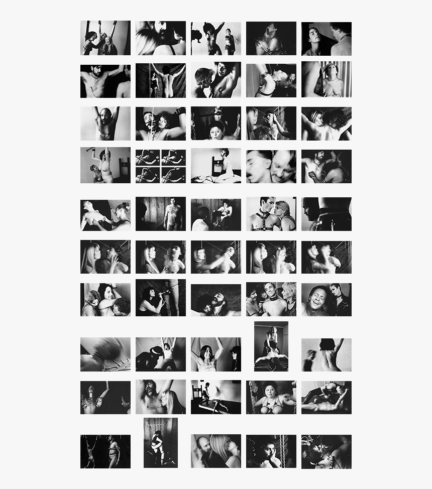 Snapshot, HD Png Download