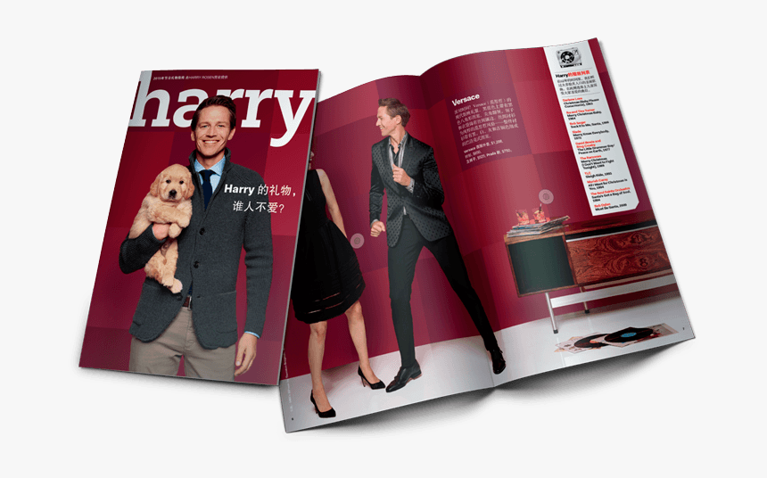 Flyer, HD Png Download