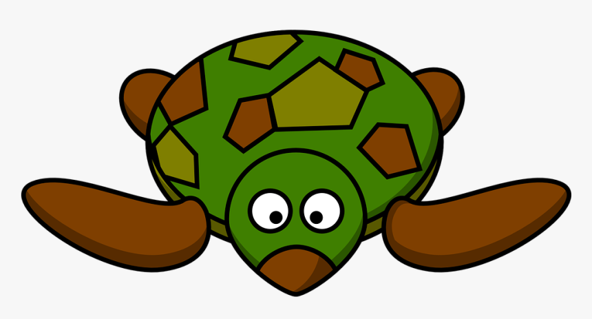 Transparent Cute Turtle Png - Cartoon Turtle Clipart, Png Download