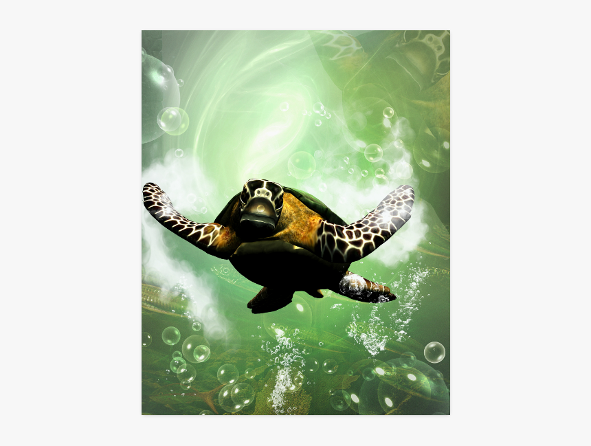 Cute Turtle Poster 16 X20 - Hawksbill Sea Turtle, HD Png Download
