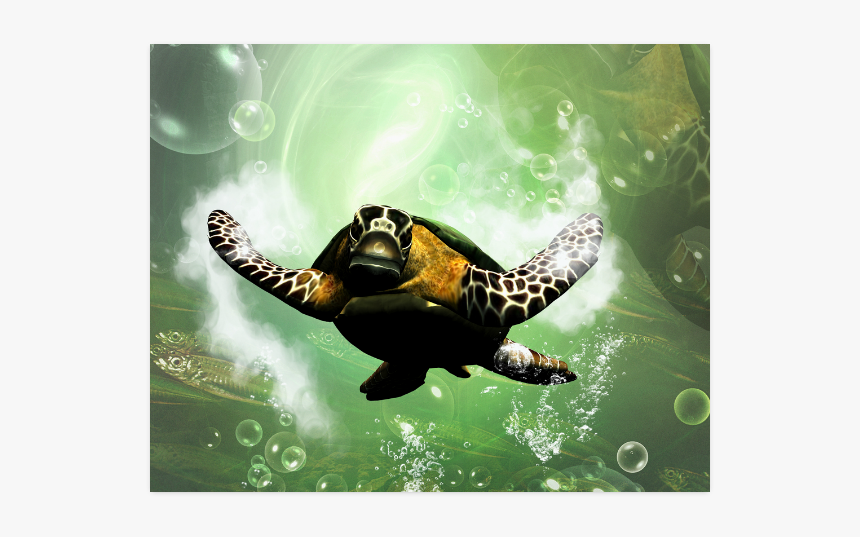 Cute Turtle Poster 20 X16 - Hawksbill Sea Turtle, HD Png Download