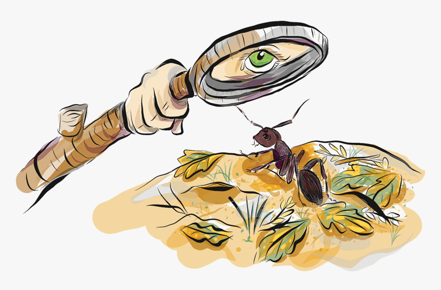 Stick-2 - Illustration, HD Png Download