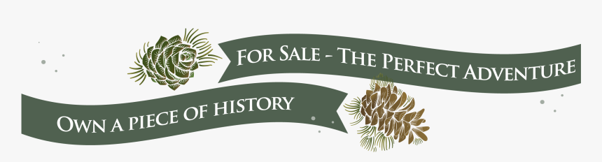 Transparent Sale Ribbon Png - International Year Of Sustainable Energy, Png Download