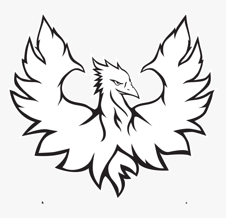 Accipitridae, HD Png Download