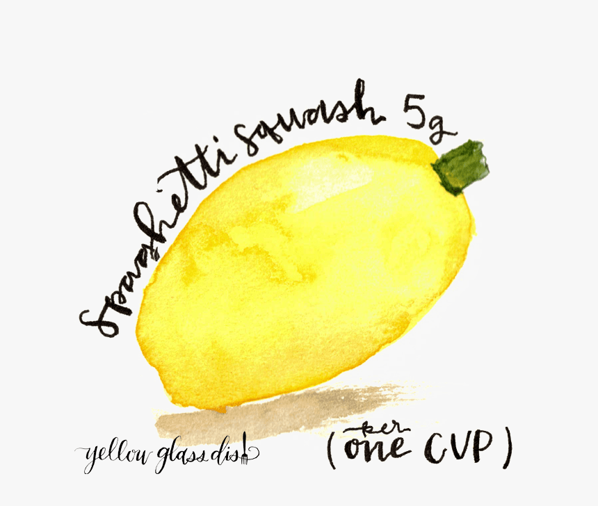 Watercolor Picture Of Spaghetti Squash Copyright Yellowglassdish - Meyer Lemon, HD Png Download